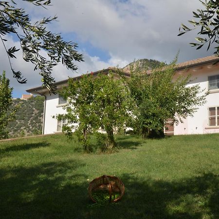 B&B Macchia D'Olmo Capaccio Exterior photo