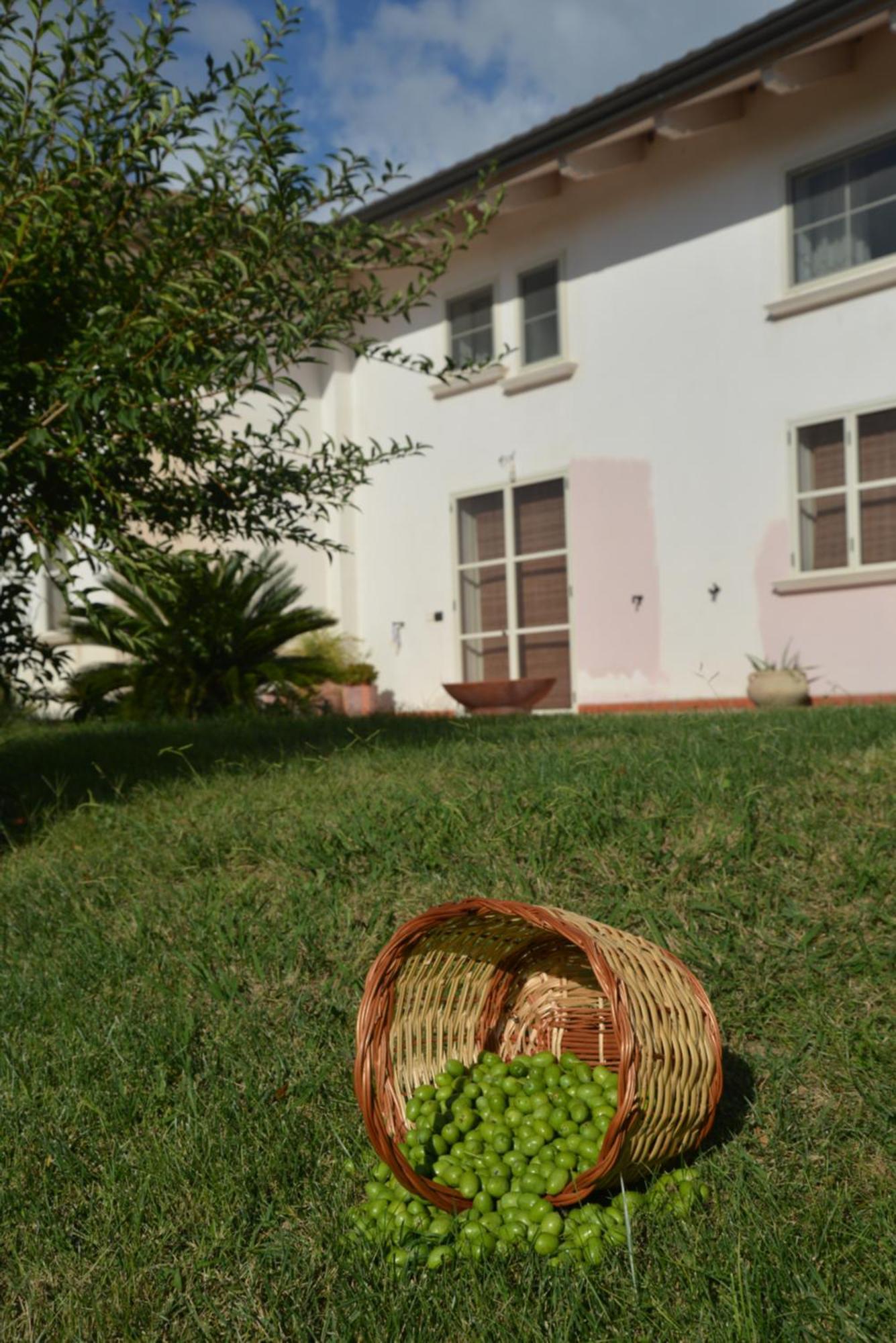 B&B Macchia D'Olmo Capaccio Exterior photo