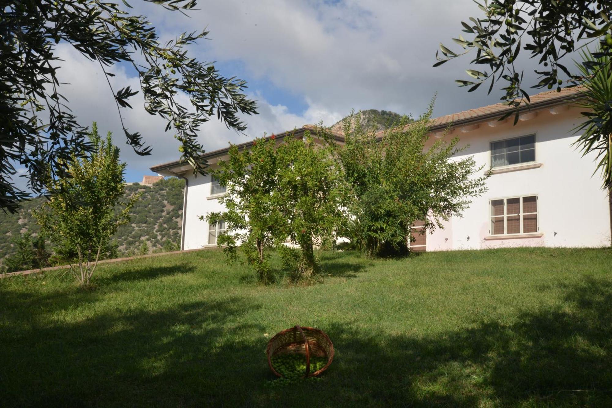 B&B Macchia D'Olmo Capaccio Exterior photo