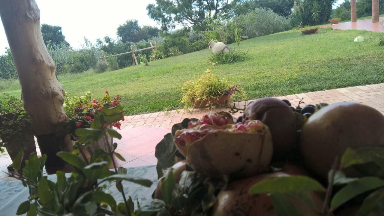 B&B Macchia D'Olmo Capaccio Exterior photo