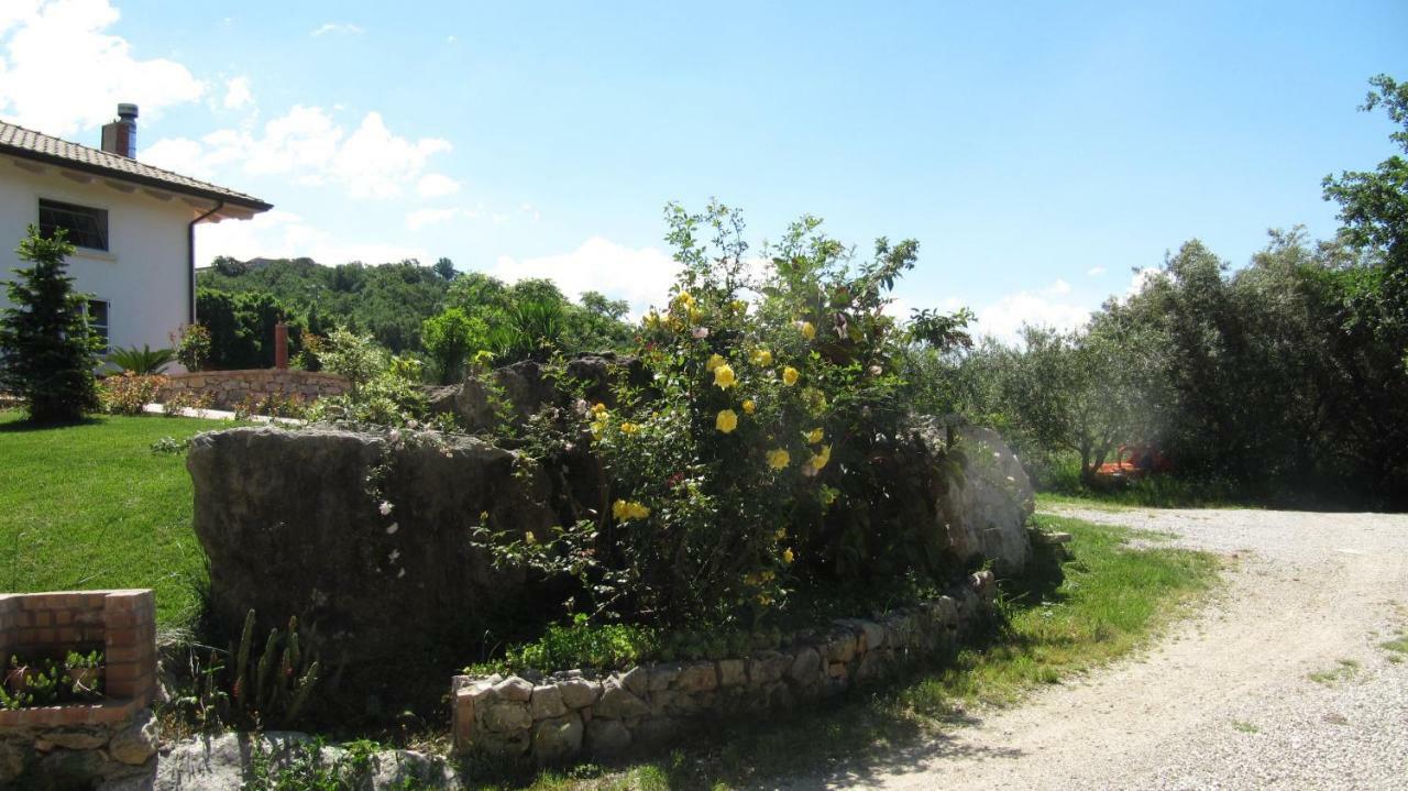 B&B Macchia D'Olmo Capaccio Exterior photo