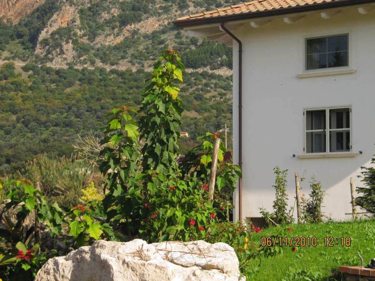B&B Macchia D'Olmo Capaccio Exterior photo