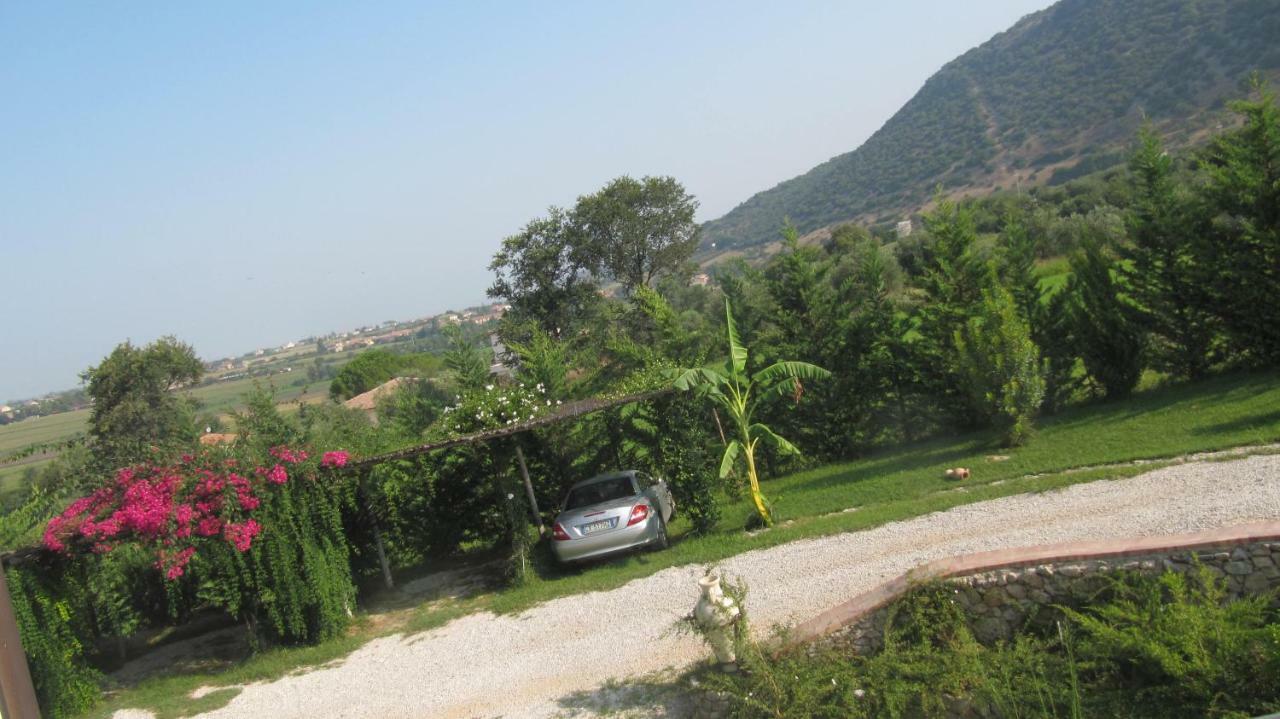 B&B Macchia D'Olmo Capaccio Exterior photo