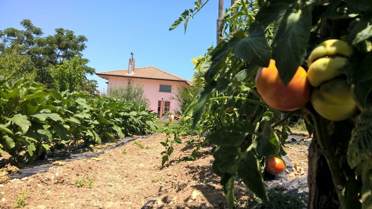 B&B Macchia D'Olmo Capaccio Exterior photo