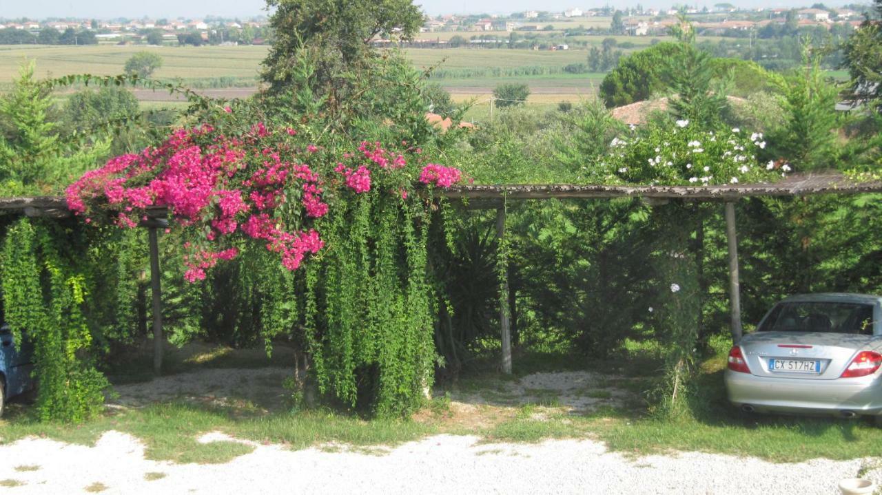 B&B Macchia D'Olmo Capaccio Exterior photo