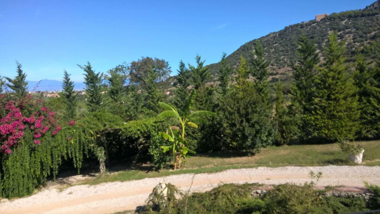 B&B Macchia D'Olmo Capaccio Exterior photo