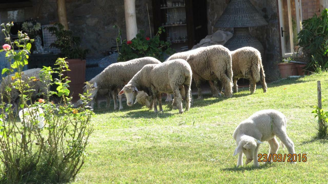 B&B Macchia D'Olmo Capaccio Exterior photo