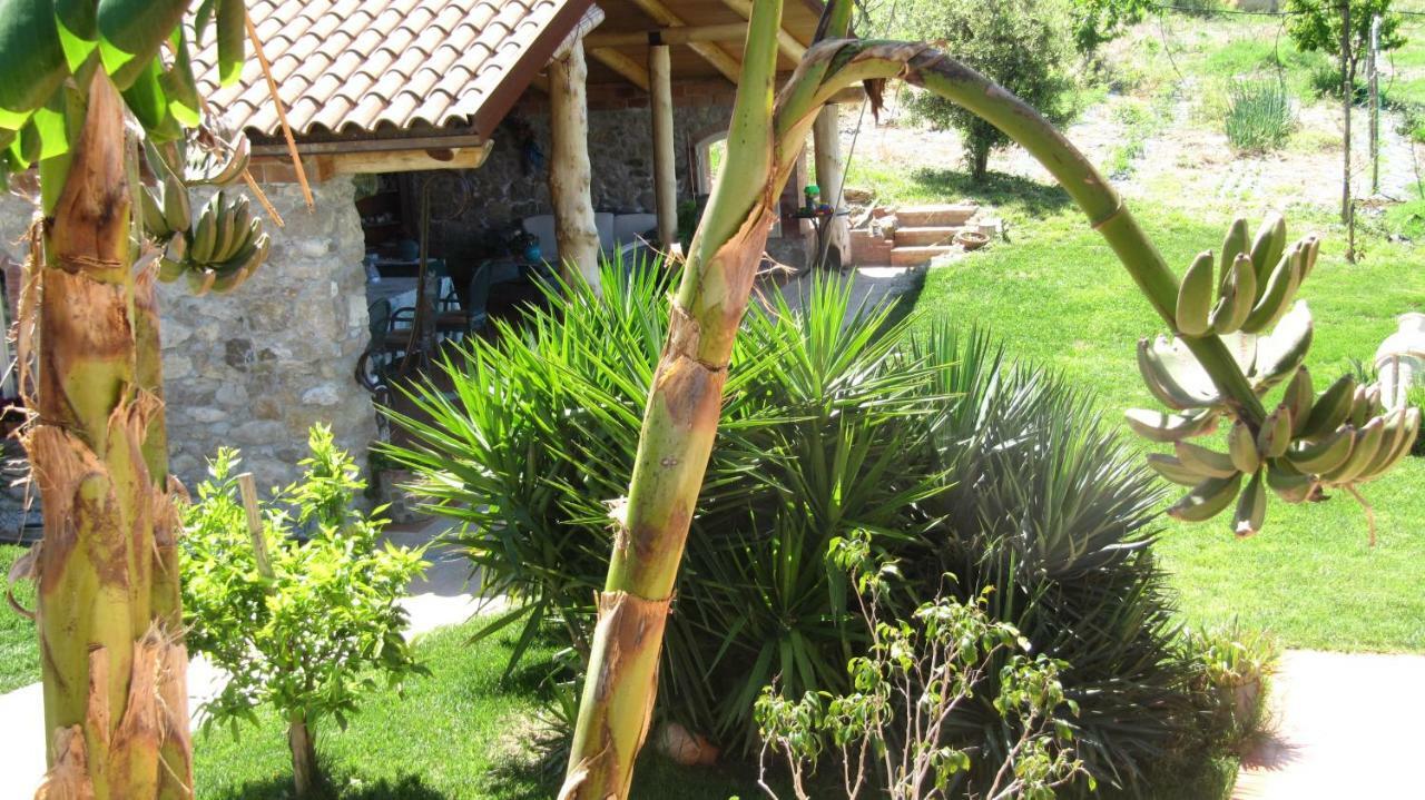 B&B Macchia D'Olmo Capaccio Exterior photo