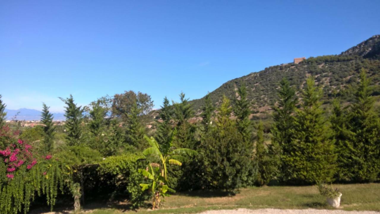 B&B Macchia D'Olmo Capaccio Exterior photo