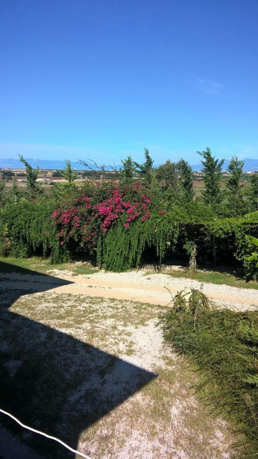B&B Macchia D'Olmo Capaccio Exterior photo
